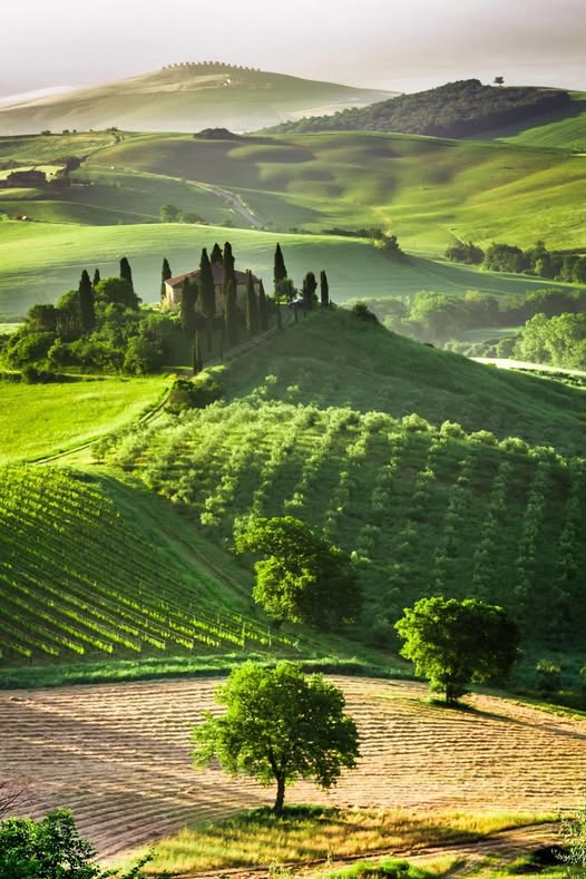 toscany.jpg