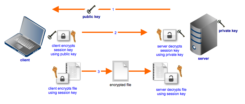 hybrid_cryptosystem_used_in_file_transfer.webp