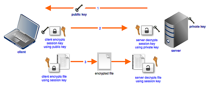 hybrid_cryptosystem_used_in_file_transfer.webp